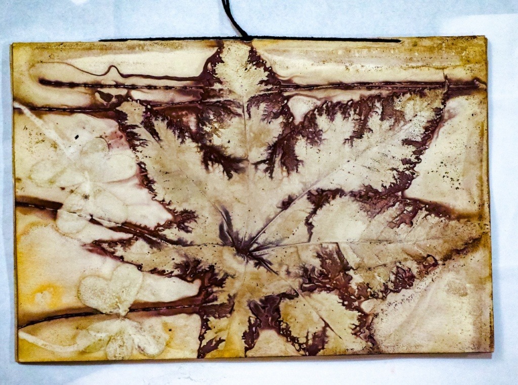 Impressao Botanica