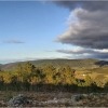 Caminhada